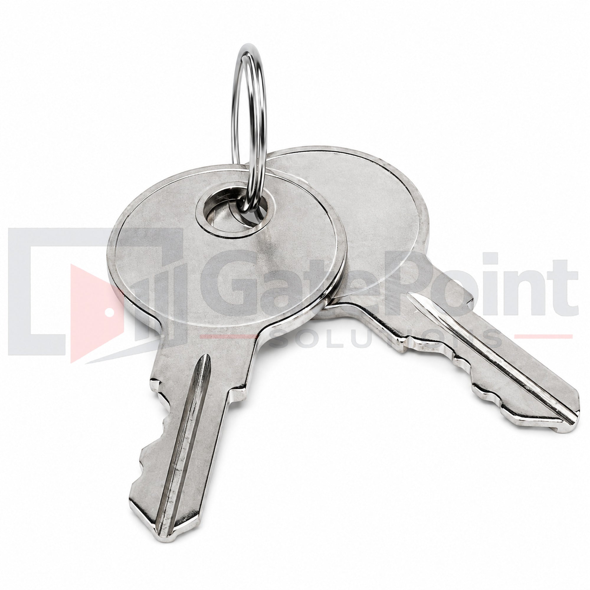 LiftMaster K80-50295 Access Door Replacement Keys (2-Pack) Q118 for Commercial Gate Operators
