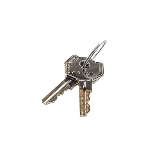 LiftMaster 041ASWG-0119 RELEASE KEY, QTY 2