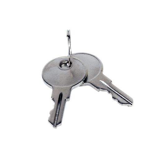 LiftMaster K80-50295 ACCESS DOOR KEYS, QTY 2, Q118